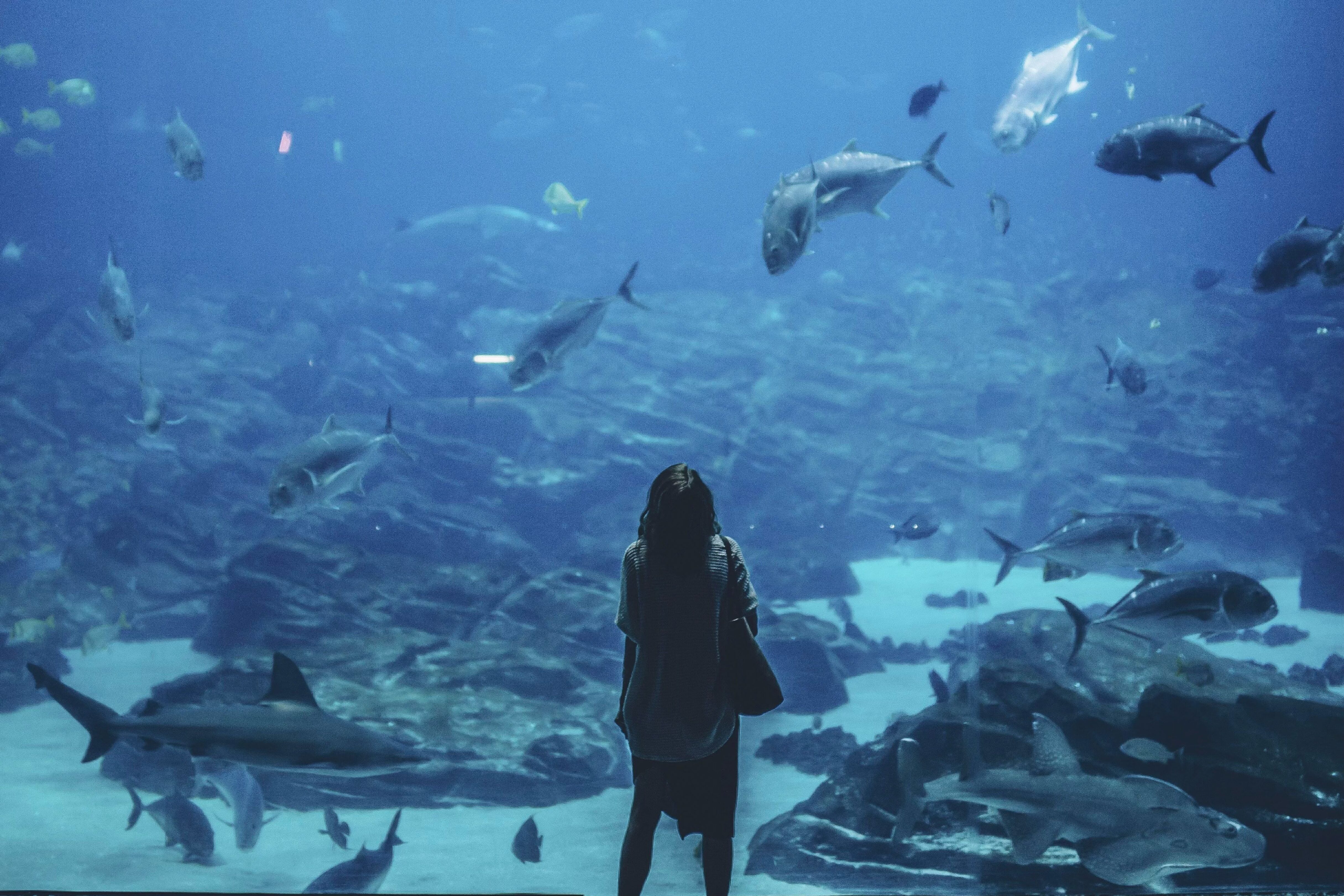 お気持ち表明でいいんだよ