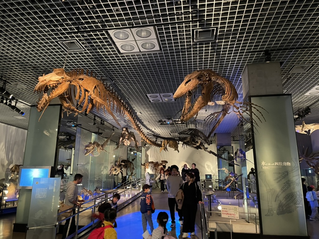 好きなもの紹介：
国立科学博物館